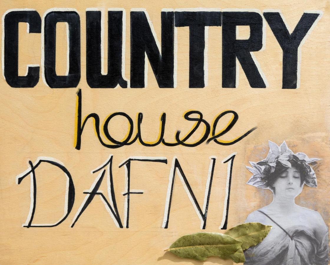 Country House Dafni Vasilikí 외부 사진